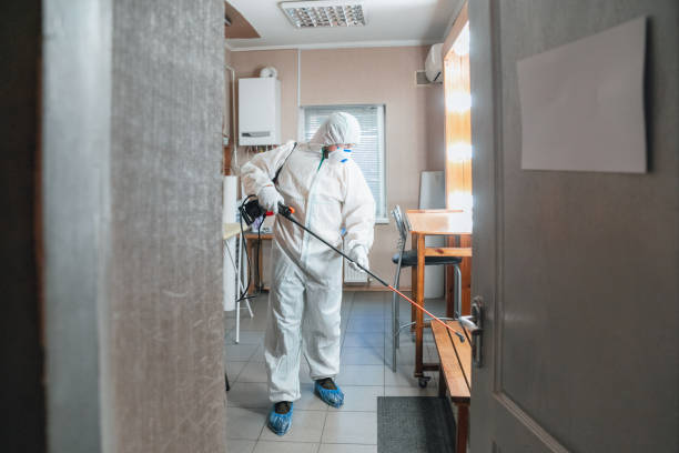 Best Emergency Mold Remediation  in New Port Richey, FL